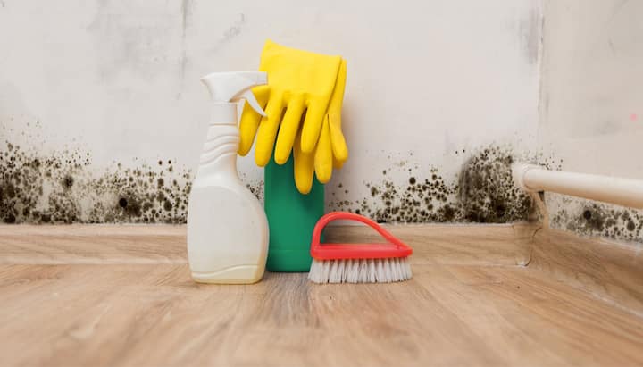 Be proactive about your home's safety and get residential mold removal services in Naperville, Illinois.