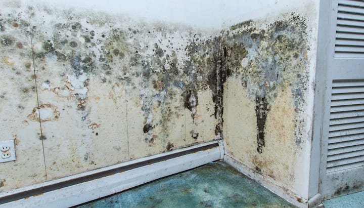 Professional mold removal, odor control, and water damage restoration service in Naperville, Illinois.