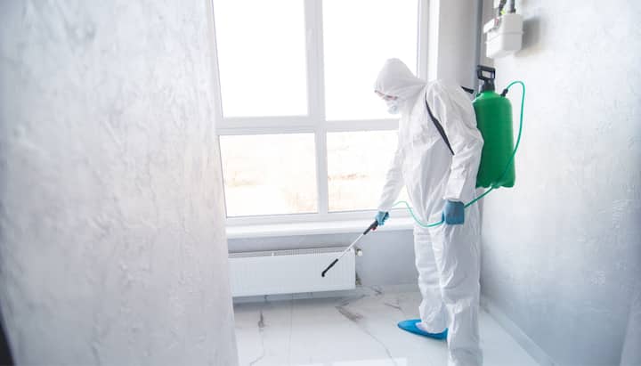 We provide the highest-quality mold inspection, testing, and removal services in the Naperville, Illinois area.