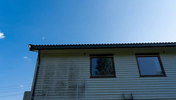 Residential mold removal services in Naperville, Illinois